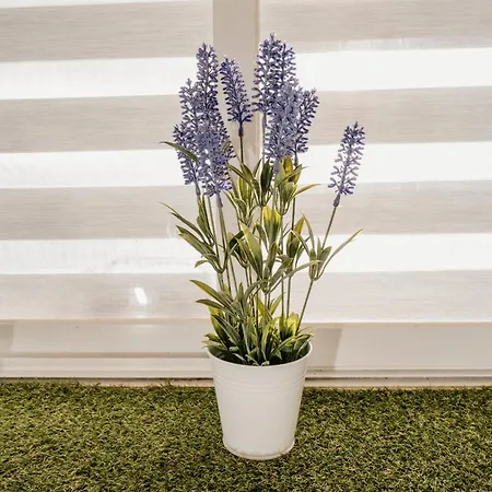 Apartment A Da Mina Nai A Coruna