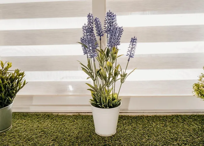 Apartment A Da Mina Nai A Coruna